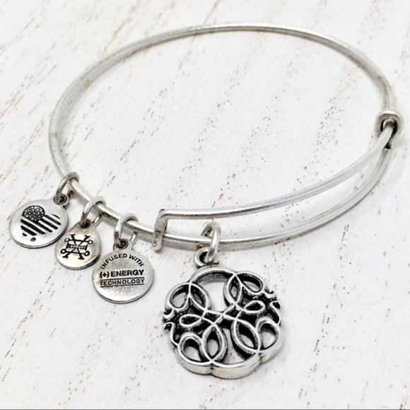 ALEX & ANI Path of Life Charm Silver Tone Bangle - Picture 5 of 5